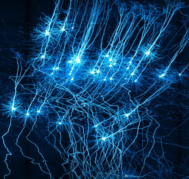 Neurogenic Tremor Therapy, Home of Wellness