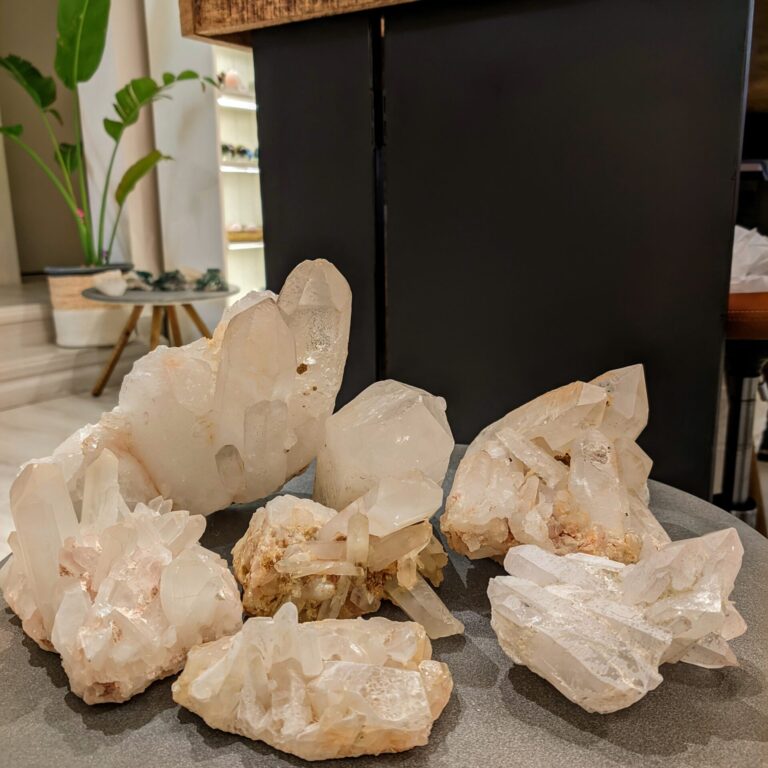 PXL_20210524_090255349.PORTRAIT~2