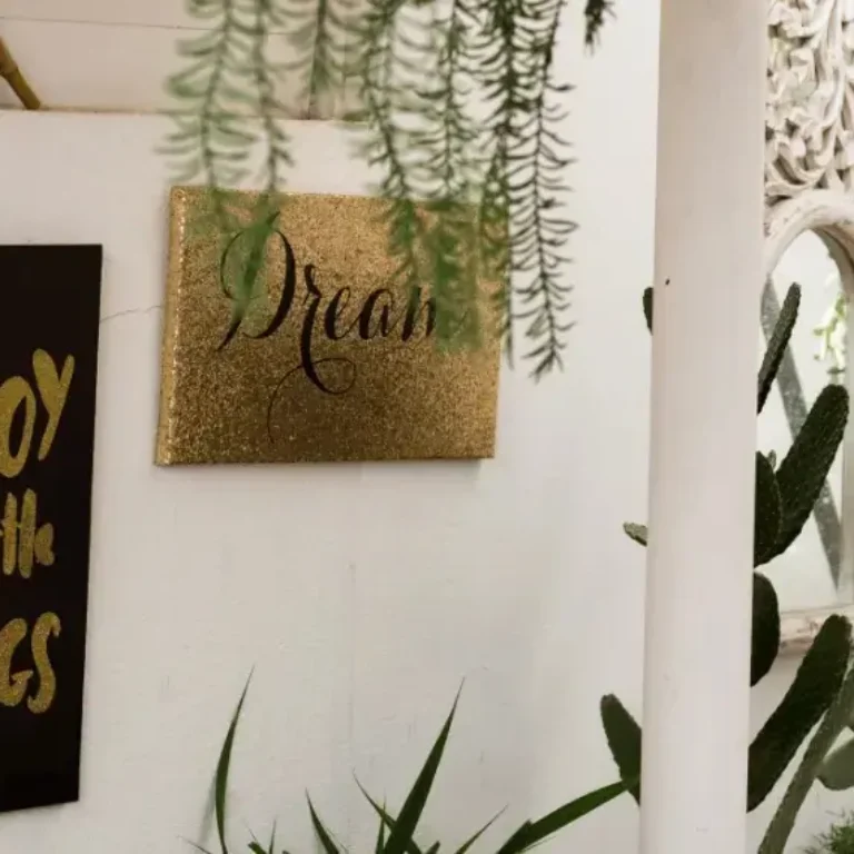 WhatsApp Image 2025-12-21 at 4.04.31 PM (1)