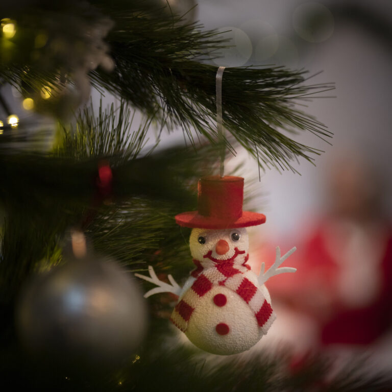 close-up-cute-christmas-ornament